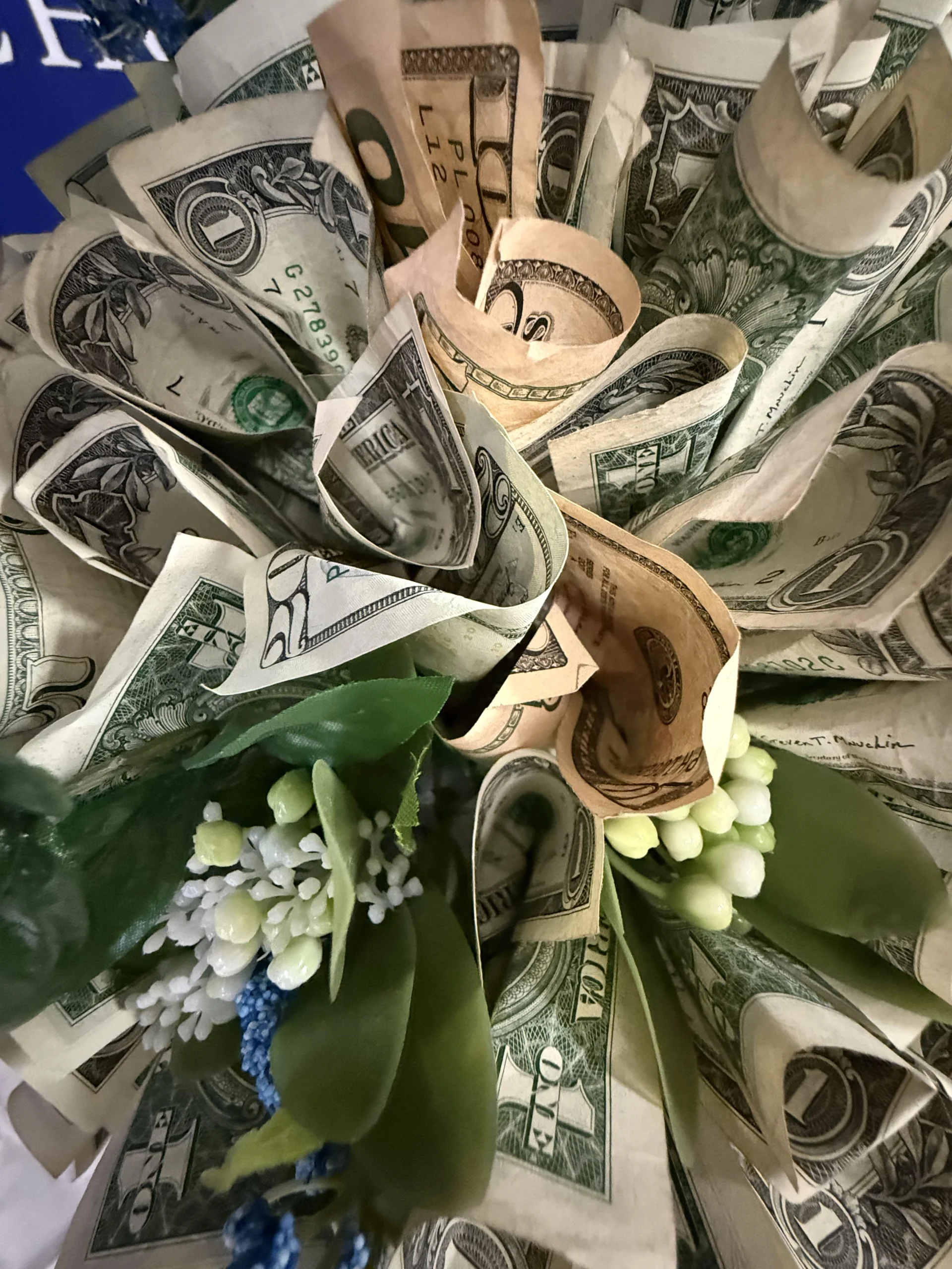 Gala 2026 Money Tree.webp